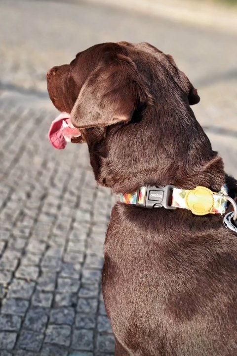 Kiko