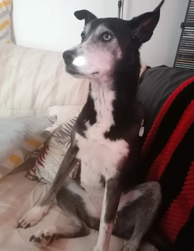 Nina