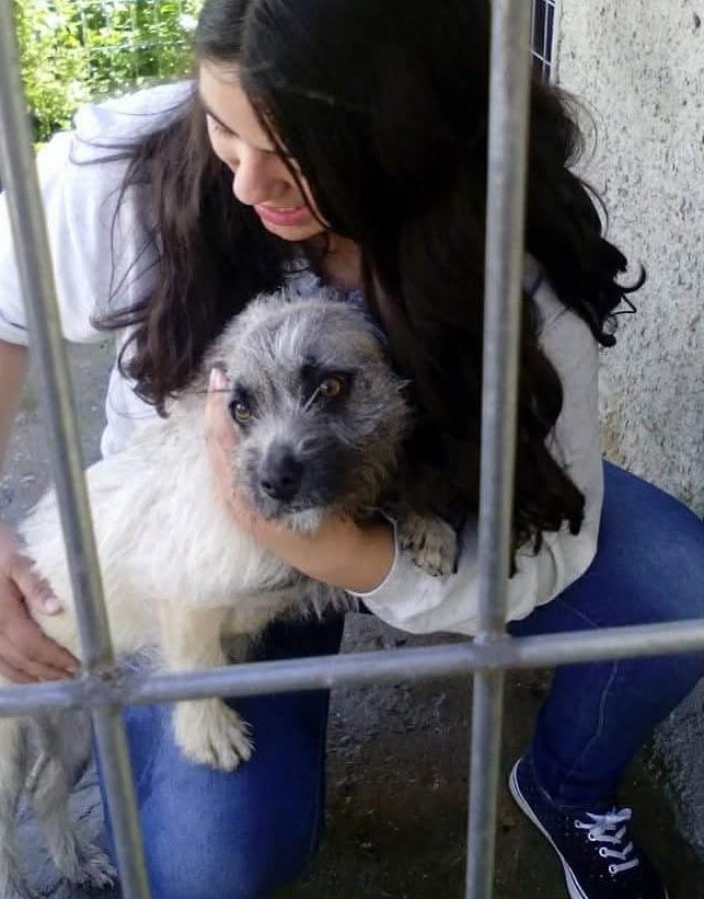 Margarida a cuidar da Cleo
